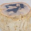 Bijzettafel versteend hout 47008