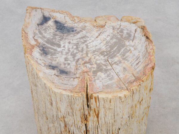 Bijzettafel versteend hout 48007