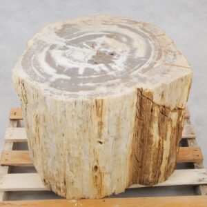 Bijzettafel versteend hout 48015