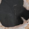 Bijzettafel versteend hout 51000