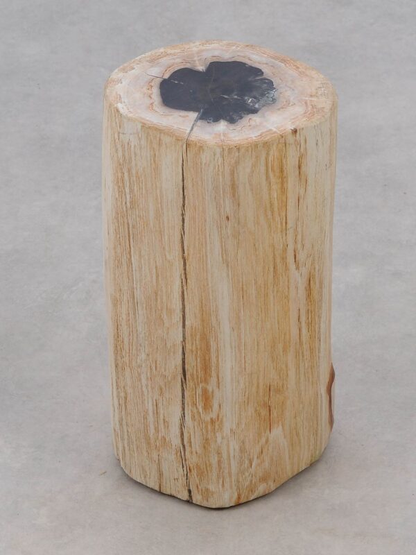 Bijzettafel versteend hout 51003