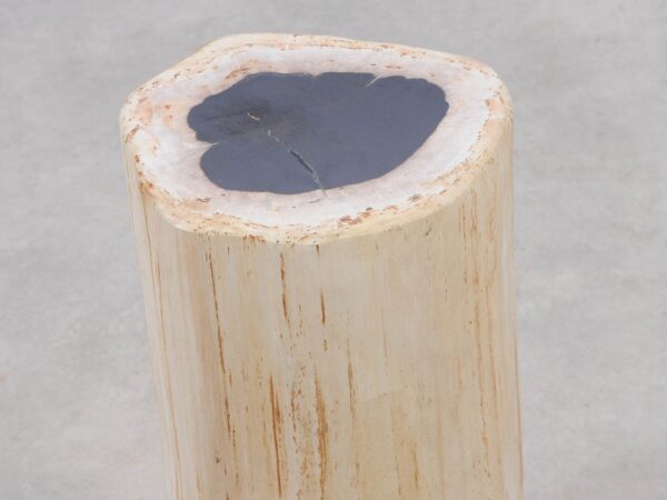 Bijzettafel versteend hout 51004