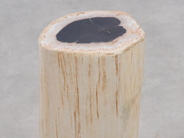 Bijzettafel versteend hout 51004
