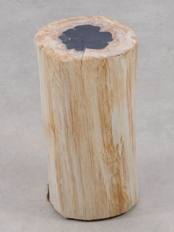 Bijzettafel versteend hout 51005