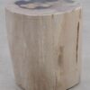Bijzettafel versteend hout 51006