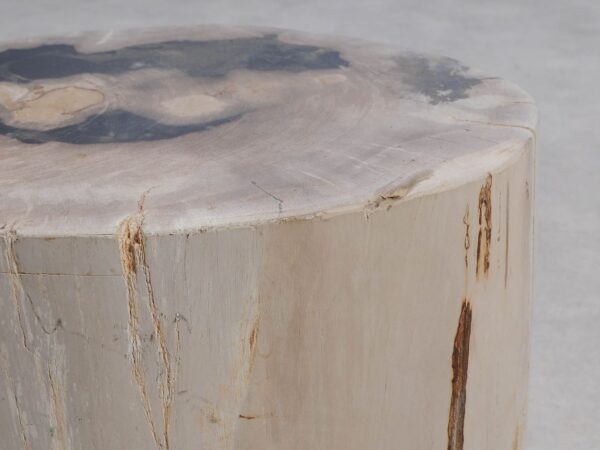 Bijzettafel versteend hout 51006