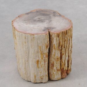 Bijzettafel versteend hout 51047