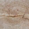Bijzettafel versteend hout 51048