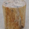Bijzettafel versteend hout 51326