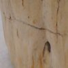 Bijzettafel versteend hout 51326