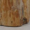 Bijzettafel versteend hout 51326