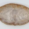 Bord versteend hout 51064