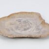 Bord versteend hout 51071