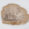 Bord versteend hout 51089