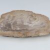 Bord versteend hout 51089