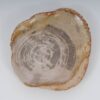 Bord versteend hout 51097