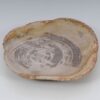 Bord versteend hout 51097
