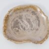 Bord versteend hout 51098