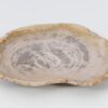 Bord versteend hout 51098