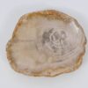 Bord versteend hout 51101