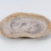 Bord versteend hout 51102