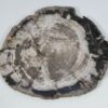 Bord versteend hout 52012