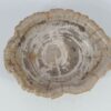Schaal versteend hout 52368