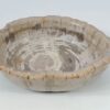 Schaal versteend hout 52368