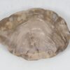 Bord versteend hout 52382