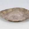 Bord versteend hout 52382