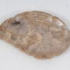 Bord versteend hout 52385