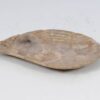 Bord versteend hout 52385