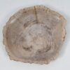 Bord versteend hout 52394
