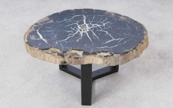 Coffee table petrified wood 51211