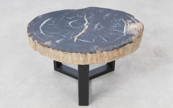 Coffee table petrified wood 51212