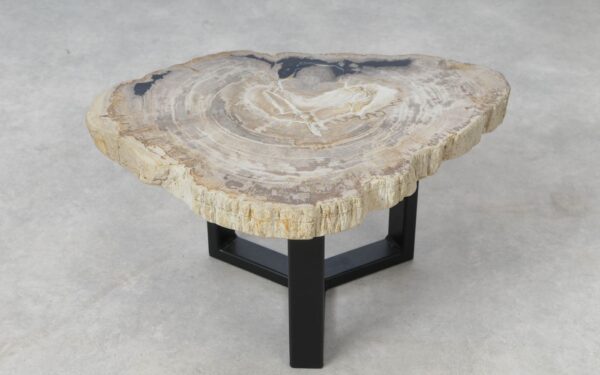 Coffee table petrified wood 51213