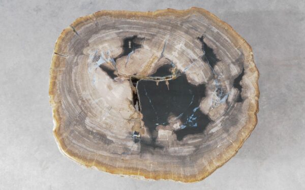 Coffee table petrified wood 51214