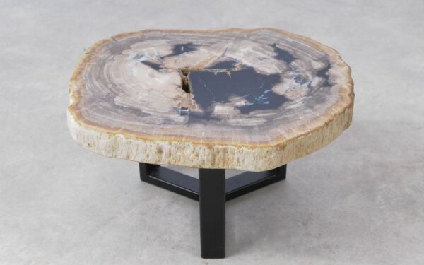 Coffee table petrified wood 51214