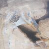 Coffee table petrified wood 51214