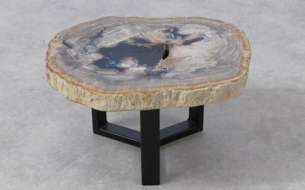 Coffee table petrified wood 51216