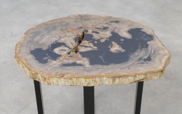 Coffee table petrified wood 51224