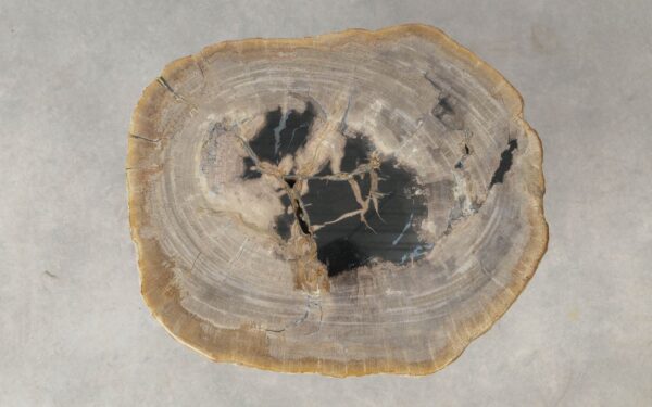 Coffee table petrified wood 51226