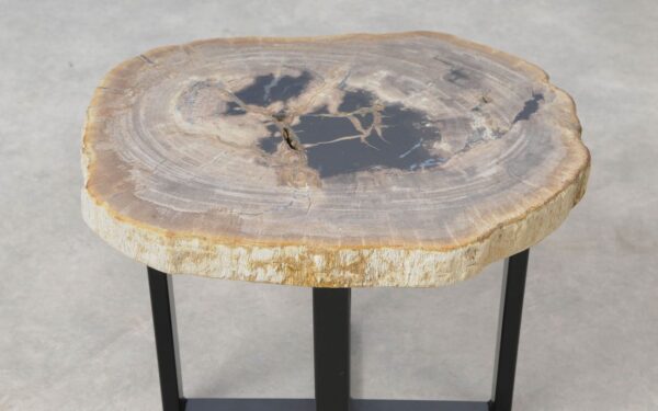 Coffee table petrified wood 51226