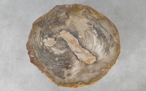 Coffee table petrified wood 51227