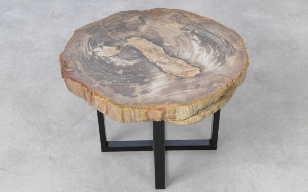 Coffee table petrified wood 51227