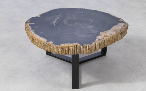 Coffee table petrified wood 51230