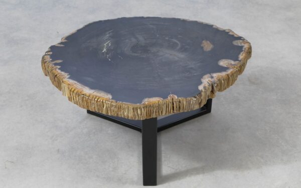 Coffee table petrified wood 51232