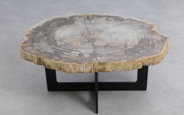 Coffee table petrified wood 51234