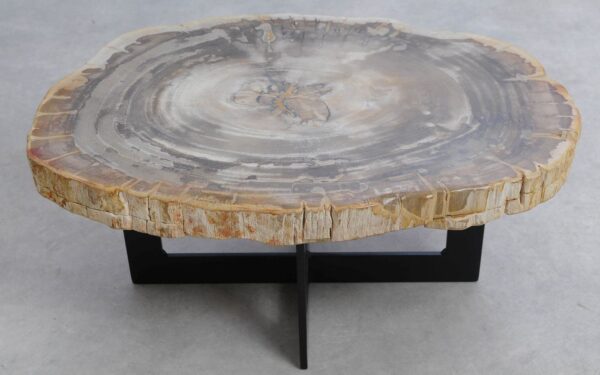 Coffee table petrified wood 51235