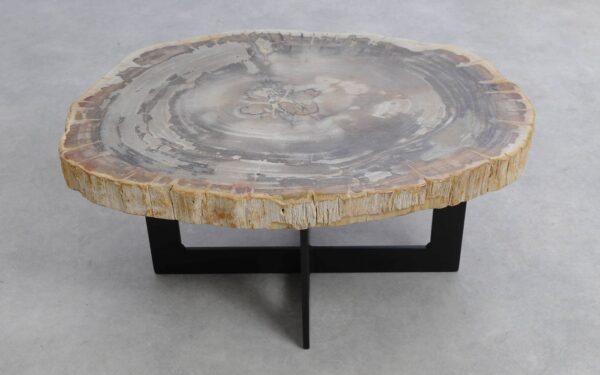 Coffee table petrified wood 51236